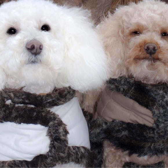 Dog Winter Jacket with Faux Fur - Picture 12 of 16